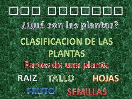 CLASIFICACION DE LAS PLANTAS