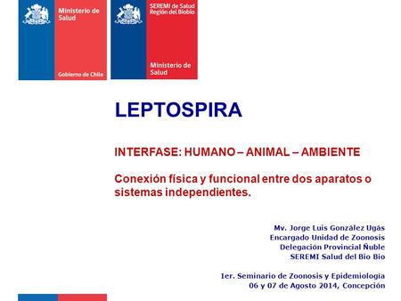 LEPTOSPIRA INTERFASE: HUMANO – ANIMAL – AMBIENTE