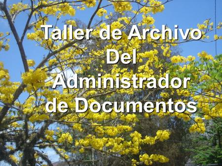 Taller de Archivo Del Administrador de Documentos