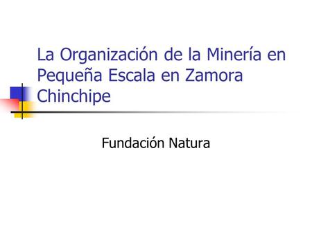 La Organización de la Minería en Pequeña Escala en Zamora Chinchipe