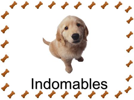 Indomables. Existen perros de muchas razas Existen perros de muchos tamaños.