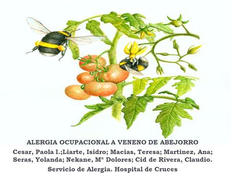 ALERGIA OCUPACIONAL A VENENO DE ABEJORRO Cesar, Paola I.;Liarte, Isidro; Macias, Teresa; Martinez, Ana; Seras, Yolanda; Nekane, Mª Dolores; Cid de Rivera,