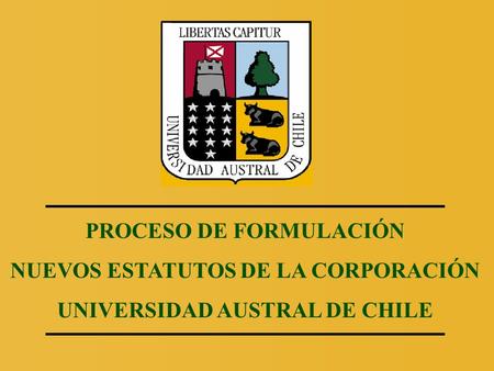 PROCESO DE FORMULACIÓN NUEVOS ESTATUTOS DE LA CORPORACIÓN UNIVERSIDAD AUSTRAL DE CHILE.