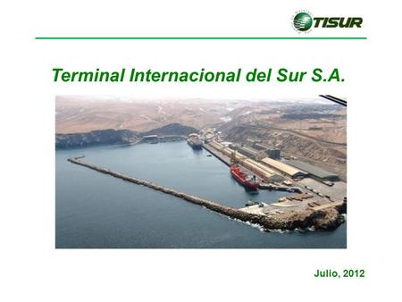 Terminal Internacional del Sur S.A.