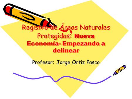 Registro de Áreas Naturales Protegidas : Nueva Economía- Empezando a delinear Profesor: Jorge Ortiz Pasco.
