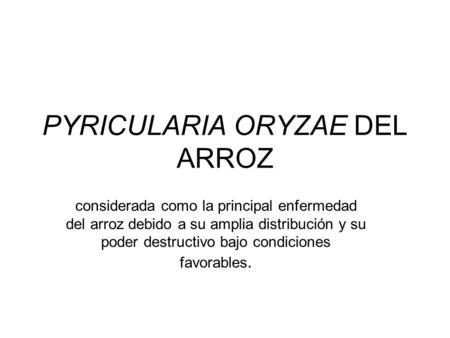 PYRICULARIA ORYZAE DEL ARROZ