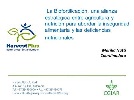Marilia Nutti Coordinadora