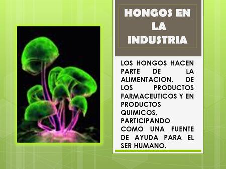 HONGOS EN LA INDUSTRIA LOS HONGOS HACEN PARTE DE LA ALIMENTACION, DE LOS PRODUCTOS FARMACEUTICOS Y EN PRODUCTOS QUIMICOS, PARTICIPANDO COMO UNA FUENTE.
