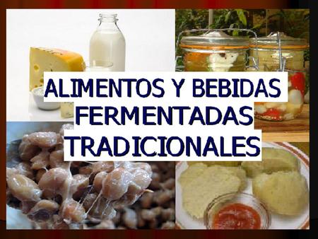 La fermentación de los alimentos es una práctica muy antigua presente en todas las culturas del mundo. Algunos de estos alimentos han logrado convertirse.