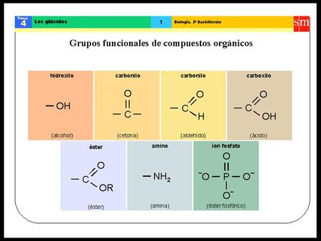 Héctor M. Parada P. Mg. Cs. Héctor M. Parada P. Mg. Cs. C, H, y O. Derivan de la palabra glucosa vocablo griego glykys, dulce, aunque solamente lo.