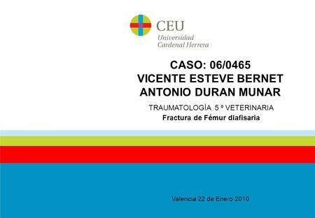 CASO: 06/0465 VICENTE ESTEVE BERNET ANTONIO DURAN MUNAR