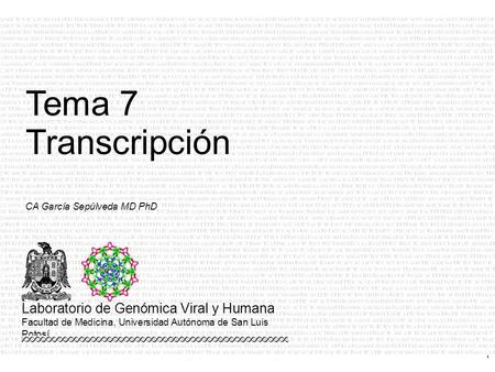 Tema 7 Transcripción CA García Sepúlveda MD PhD