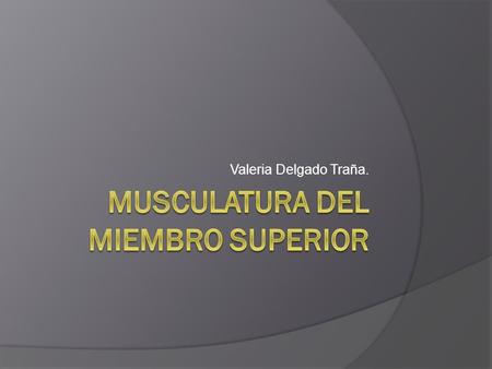 Musculatura del Miembro Superior