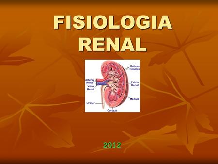 FISIOLOGIA RENAL 2012.