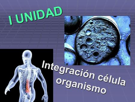 Integración célula organismo