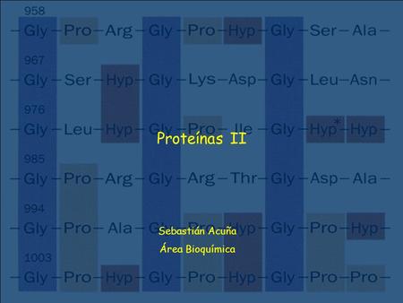 Proteínas II Sebastián Acuña Área Bioquímica.