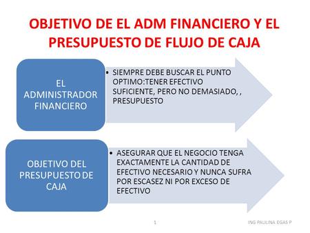 OBJETIVO DE EL ADM FINANCIERO Y EL PRESUPUESTO DE FLUJO DE CAJA