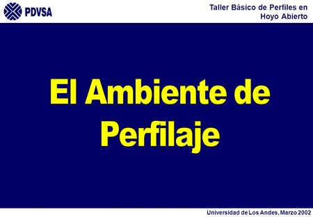El Ambiente de Perfilaje.