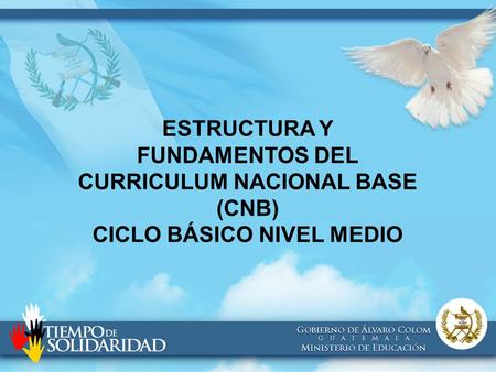 ESTRUCTURA Y FUNDAMENTOS DEL CURRICULUM NACIONAL BASE (CNB)