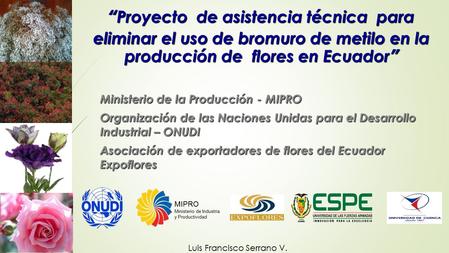 “Proyecto de asistencia técnica para eliminar el uso de bromuro de metilo en la producción de flores en Ecuador” Ministerio de la Producción - MIPRO.