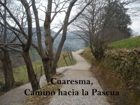 Cuaresma, Camino hacia la Pascua “… Todos nosotros, como ovejas, andábamos errantes, cada cual siguiendo su propio camino. Y Yahvé ha hecho recaer sobre.