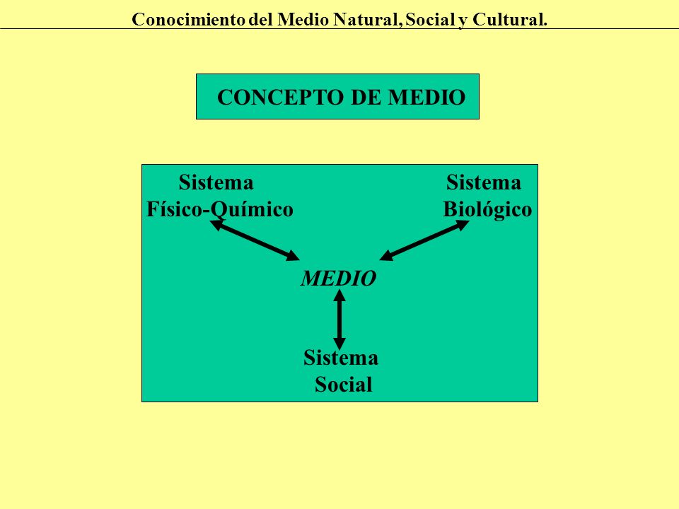 CONCEPTO DE MEDIO Sistema Físico-Químico Biológico Social MEDIO - ppt  descargar