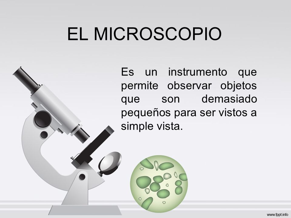 EL MICROSCOPIO Es un instrumento que permite observar objetos que son  demasiado pequeños para ser vistos a simple vista. - ppt video online  descargar