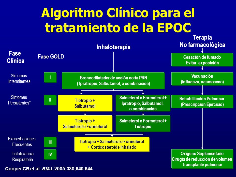 Enfermedad Pulmonar Obstructiva Crónica - ppt descargar Enfermedad Pulmonar Obstructiva Crónica - ppt descargar