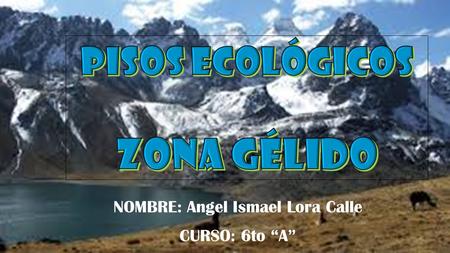 NOMBRE: Angel Ismael Lora Calle CURSO: 6to “A”. ¿ QUE SON PISOS ECOLÓGICOS? Los pisos ecológicos de Bolivia son diferentes ecosistemas que pueden encontrarse.