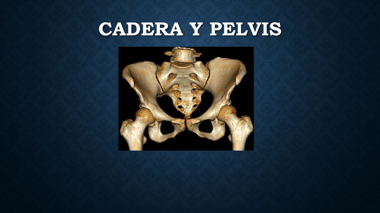 CADERA Y PELVIS. OSTEOLOGIA DE PELVIS Es un anillo oseo constituido por 3  huesos: constituido por 3 huesos: 2 coxal(izq y der.) y el sacro. Estos se  articulan. - ppt descargar