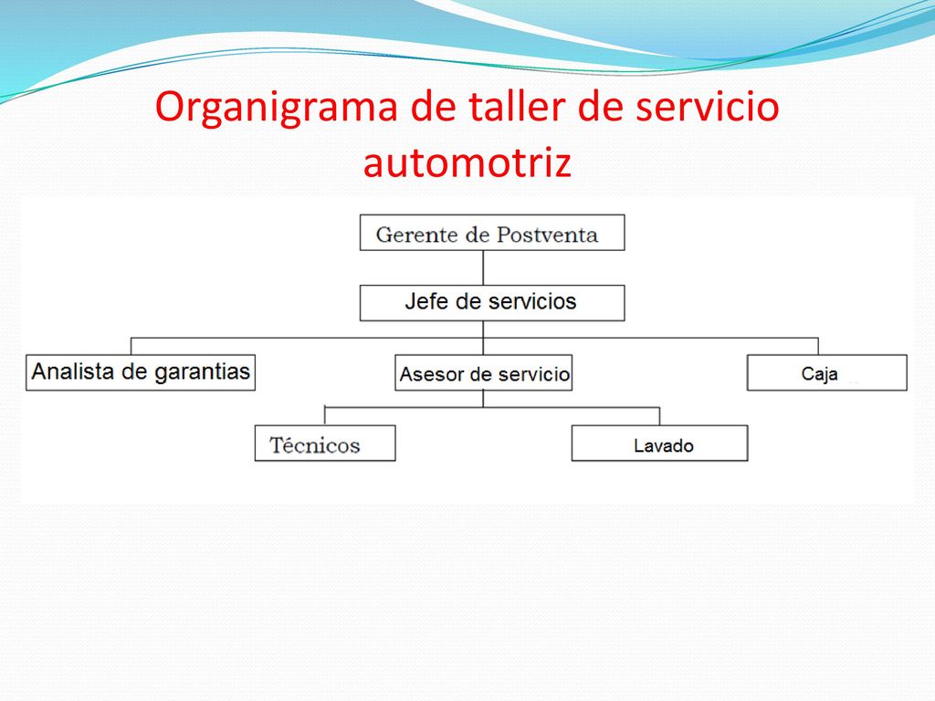Servicio Técnico Atención al cliente Organización de 