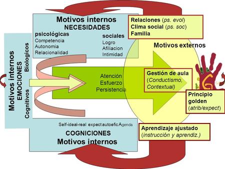 Cognitivos Biologicos