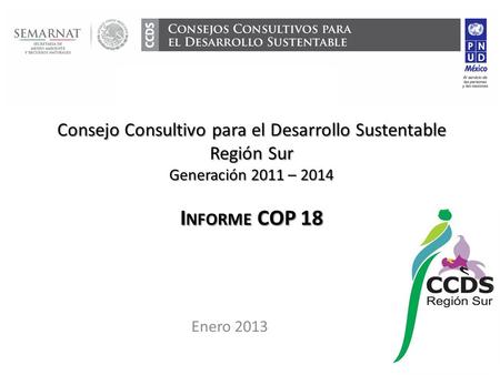 Consejo Consultivo para el Desarrollo Sustentable Región Sur Generación 2011 – 2014 I NFORME COP 18 Enero 2013.