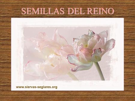 SEMILLAS DEL REINO www.siervas-seglares.org Sois semillas del Reino plantadas en la historia.