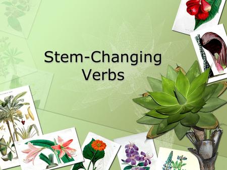 Stem-Changing Verbs. Overview Remember that verbs are divided into two parts. You have the infinitive ending and the stem. habl steminfinitive ending.
