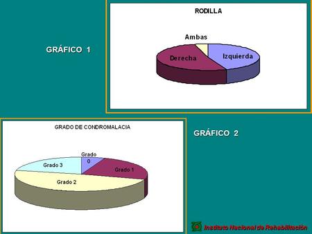 GRÁFICO 1 GRÁFICO 2 Instituto Nacional de Rehabilitación.