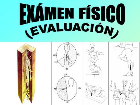 EXÁMEN FÍSICO (EVALUACIÓN).