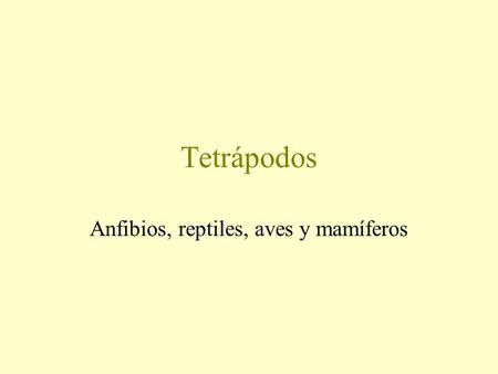 Anfibios, reptiles, aves y mamíferos