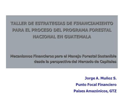 TALLER DE ESTRATEGIAS DE FINANCIAMIENTO PARA EL PROCESO DEL PROGRAMA FORESTAL NACIONAL EN GUATEMALA Mecanismos Financieros para el Manejo Forestal Sostenible.