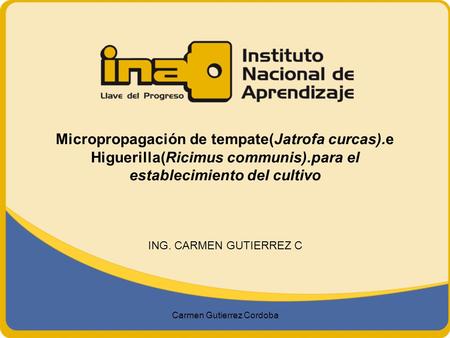 Carmen Gutierrez Cordoba