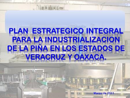 MISION  Crear un sistema productivo integral sustentable, que va desde el sector primario, pasando por la industrialización de la piña, para llegar a.