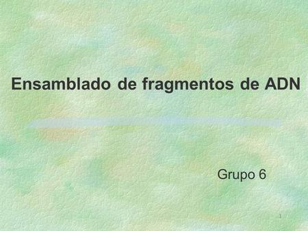 1 Ensamblado de fragmentos de ADN Grupo 6. 2 ORGANIZACIÓN 1. Background Biológico 2.Modelos 3.Algoritmos.