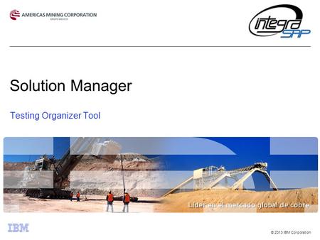 © 2013 IBM Corporation Solution Manager Testing Organizer Tool.