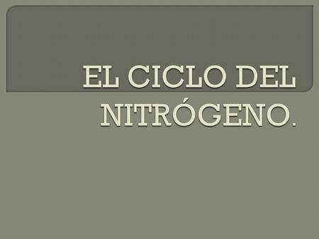 EL CICLO DEL NITRÓGENO..