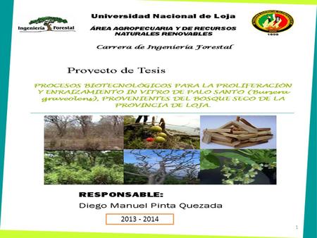 1 2013 - 2014. 2 1. Titulo PROCESOS BIOTECNOLÓGICOS PARA LA PROLIFERACIÓN Y ENRAIZAMIENTO IN VITRO DE PALO SANTO (Bursera graveolens (Kunth) Triana &