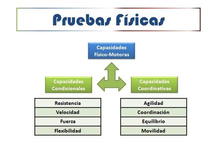 Pruebas Físicas.