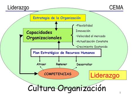 Cultura Organización Liderazgo Capacidades Organizacionales