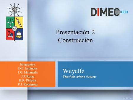 Weyelfe The fish of the future Integrantes: D.E. Espinosa J.G. Matamala J.P. Rojas K.R. Pichara R.I. Rodríguez Presentación 2 Construcción.