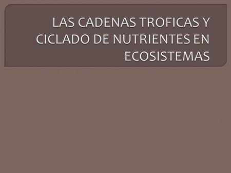 LAS CADENAS TROFICAS Y CICLADO DE NUTRIENTES EN ECOSISTEMAS