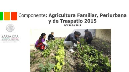 Componente: Agricultura Familiar, Periurbana y de Traspatio 2015